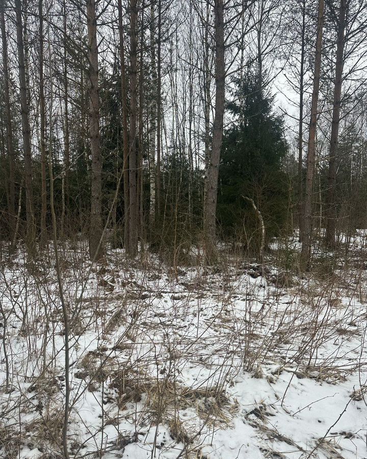 земля городской округ Наро-Фоминский г Верея 91 км, садовое товарищество Омхово, 2-я ул, Минское шоссе фото 1