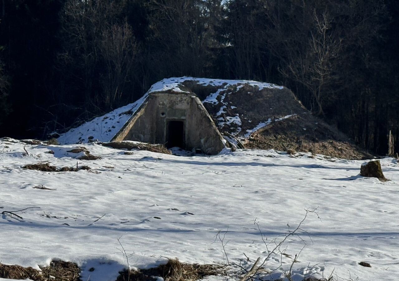 земля городской округ Рузский п Дорохово 68 км, некоммерческое товарищество Рузаево, дачное, Минское шоссе фото 4