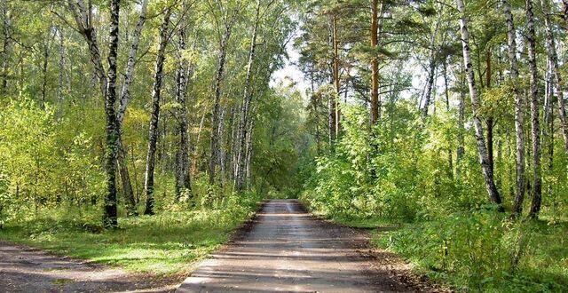 р-н Зеленоградский п Куликово ул Жемчужная Переславское сельское поселение, Калининград, Зеленоградский муниципальный округ фото