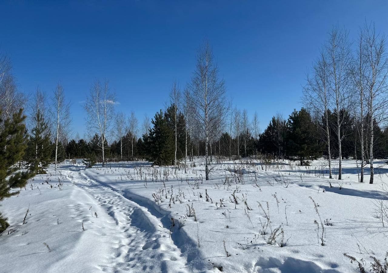 земля р-н Нижнетавдинский снт Березка 150, Тюмень фото 3