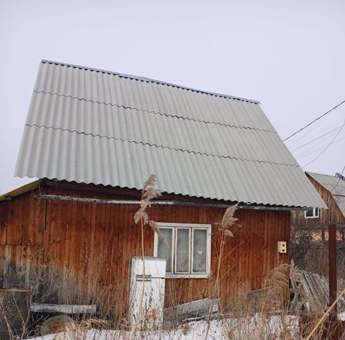 снт Исток 70, садоводческое товарищество фото