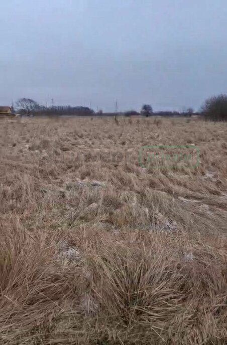 земля р-н Гурьевский п Луговое ул Нивенская фото 1