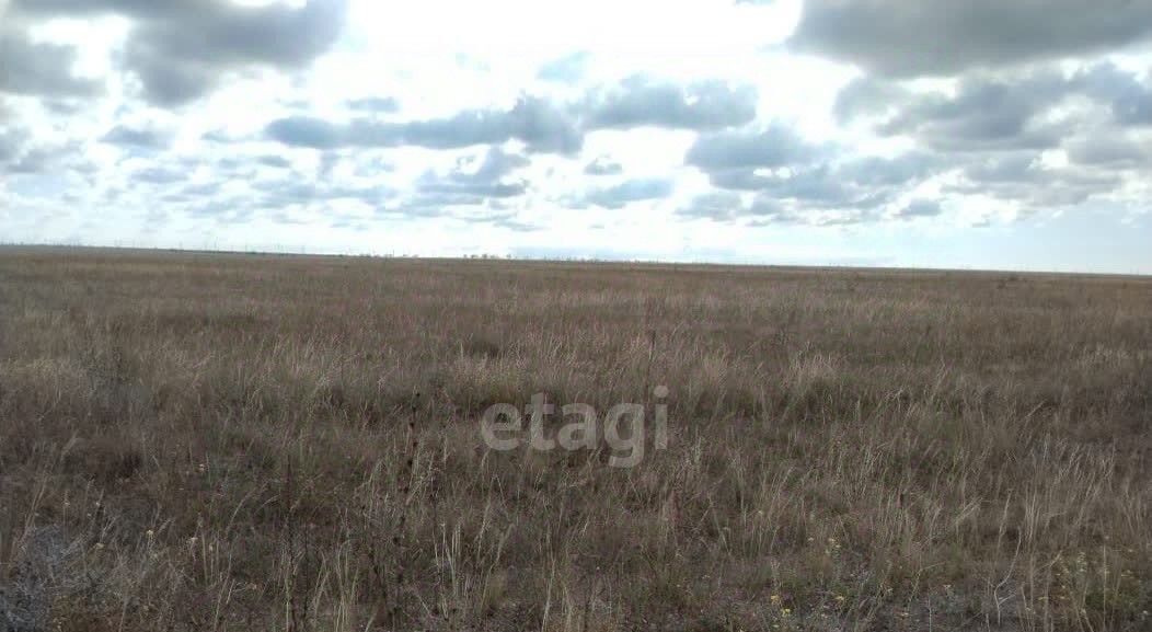 земля р-н Черноморский с Красносельское ул Школьная Окуневское с/пос фото 3