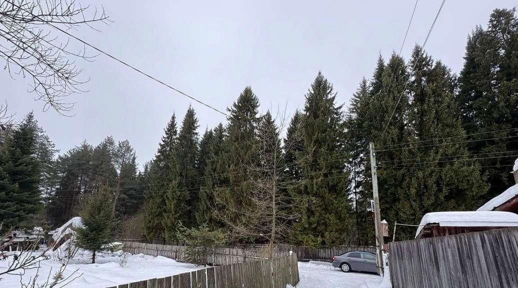 дом г Киров р-н Ленинский СДТ, 38, Урожай фото 4