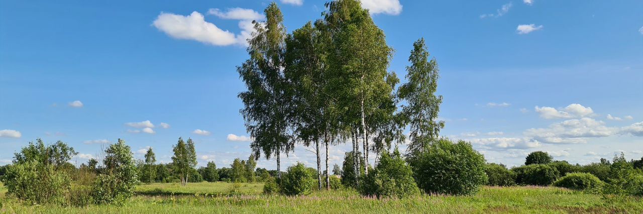 земля р-н Смоленский д Старые Батеки Смоленский муниципальный округ фото 2