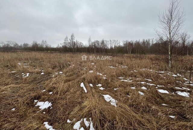 земля с Чанки городской округ Коломна фото