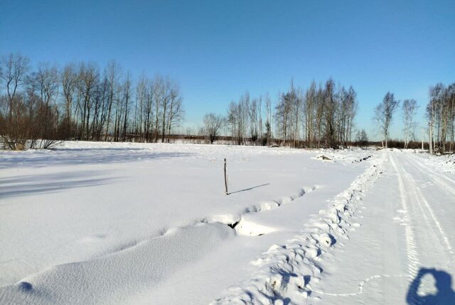 Заневское городское поселение, Ладожская, коттеджный посёлок Терра Парк фото