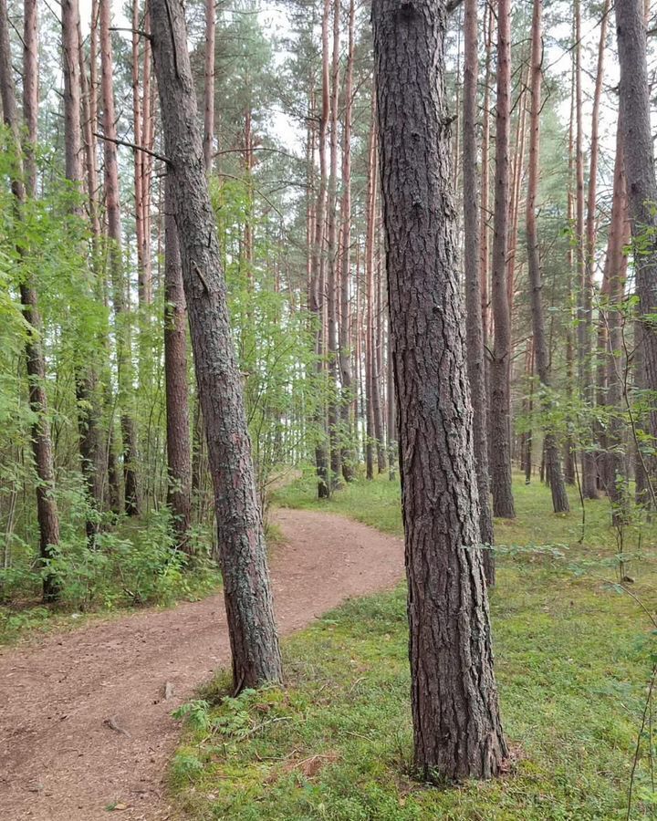 земля р-н Пустошкинский д Копнино Забельская волость, Пустошка фото 4