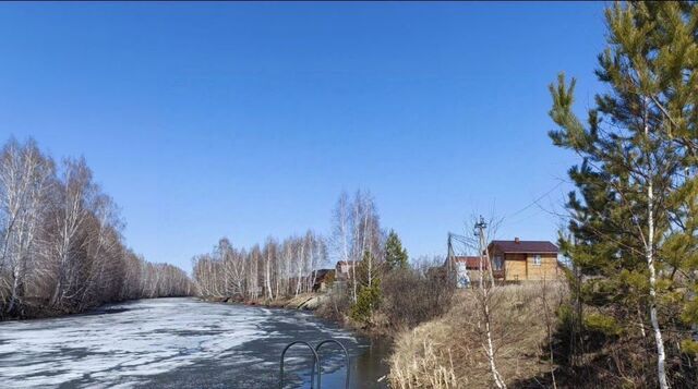 снт Реестр ул Центральная сельсовет, ДНТ, Кудряшовский фото