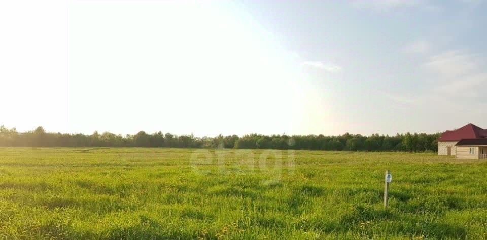 земля г Оренбург р-н Ленинский снт Солидарность Ростоши-3 дм, 7-я линия фото 2