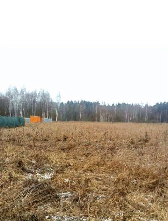 земля городской округ Воскресенск д Грецкая фото 8