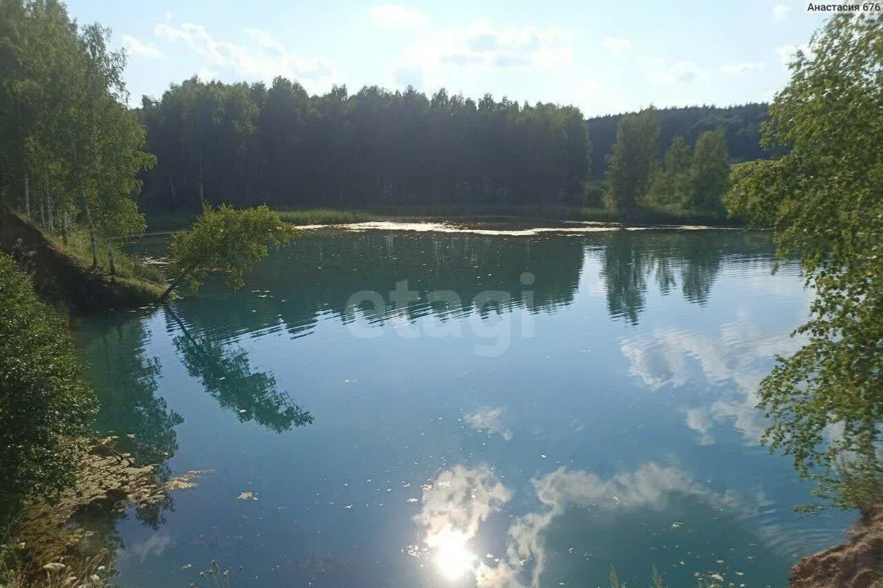 земля р-н Богородский д Килелей Буревестник фото 9