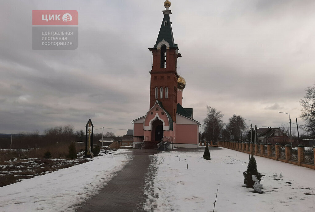 земля р-н Рязанский с Горетово ул Колхозная фото 8