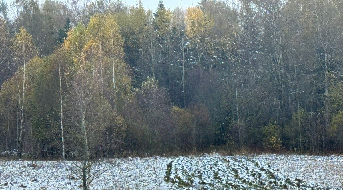 земля городской округ Солнечногорск д Мерзлово фото 2