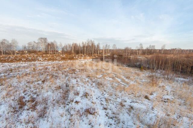 Тюмень городской округ, Европейская Зелёный бор с/о улица фото