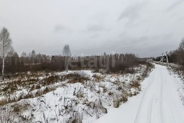 д. Штакульская фото