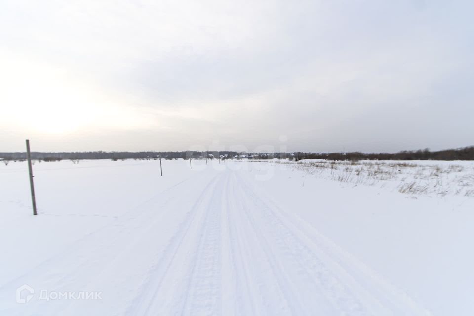 земля р-н Тюменский д. Коняшина фото 3