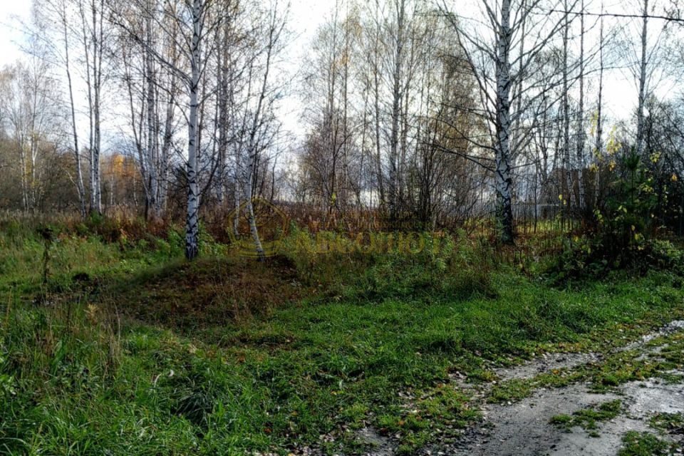 земля г Дегтярск пл Ленина Дегтярск городской округ фото 1