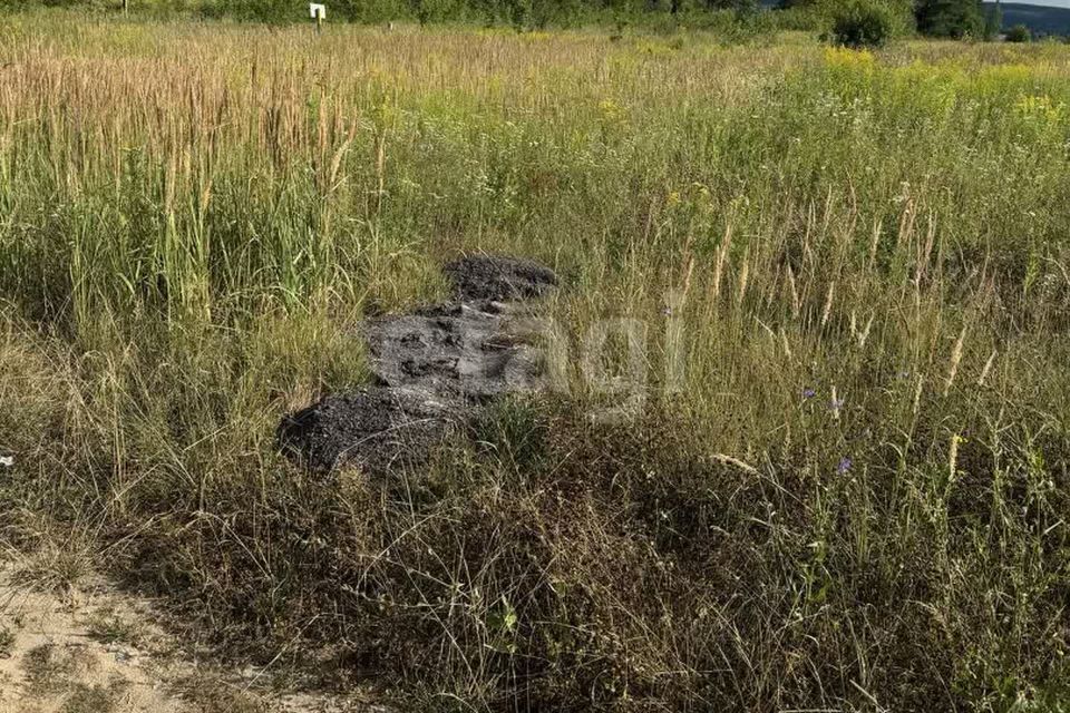 земля р-н Дубенский фото 6