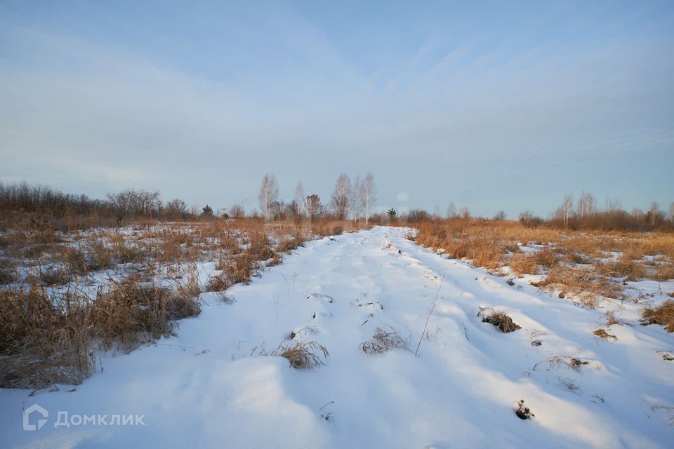 земля р-н Тюменский СНТ Надежда фото 9