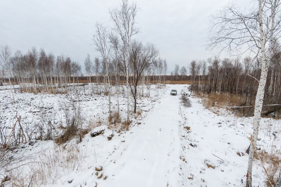 земля г Тюмень Тюмень городской округ, СНТ Строитель фото 10