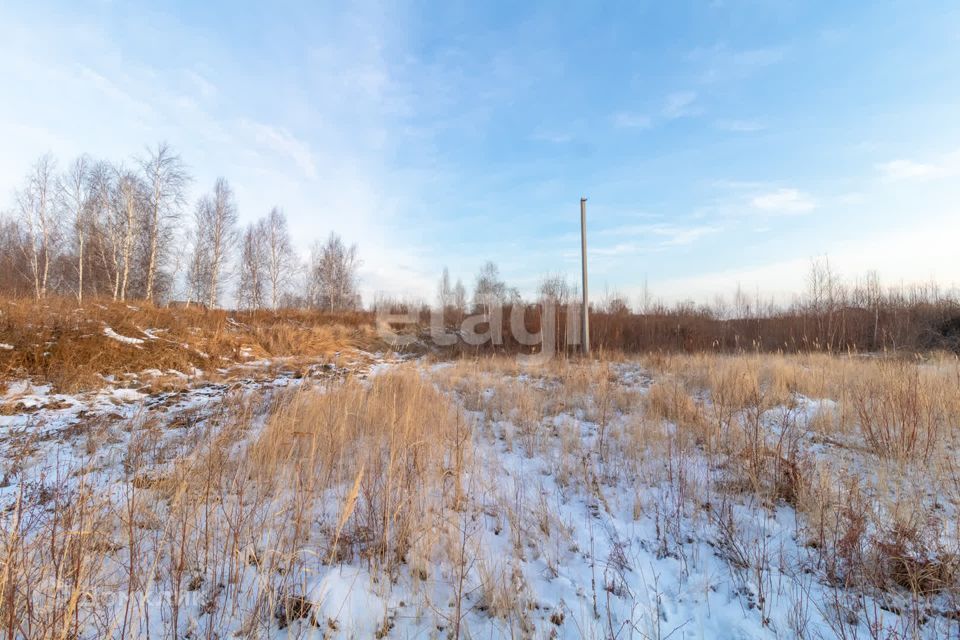 земля г Тюмень Тюмень городской округ, Европейская Зелёный бор с/о улица фото 5