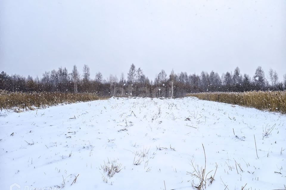 земля г Тюмень снт Липовый остров Тюмень городской округ, Восточная 13-я улица фото 7