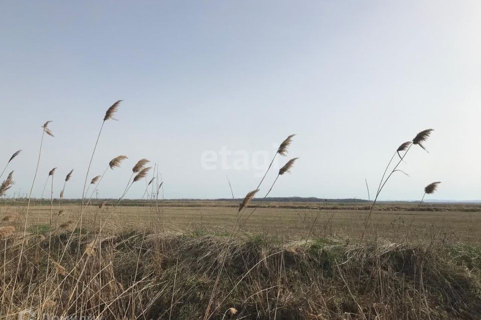 земля р-н Тахтамукайский пос. Прикубанский фото 3