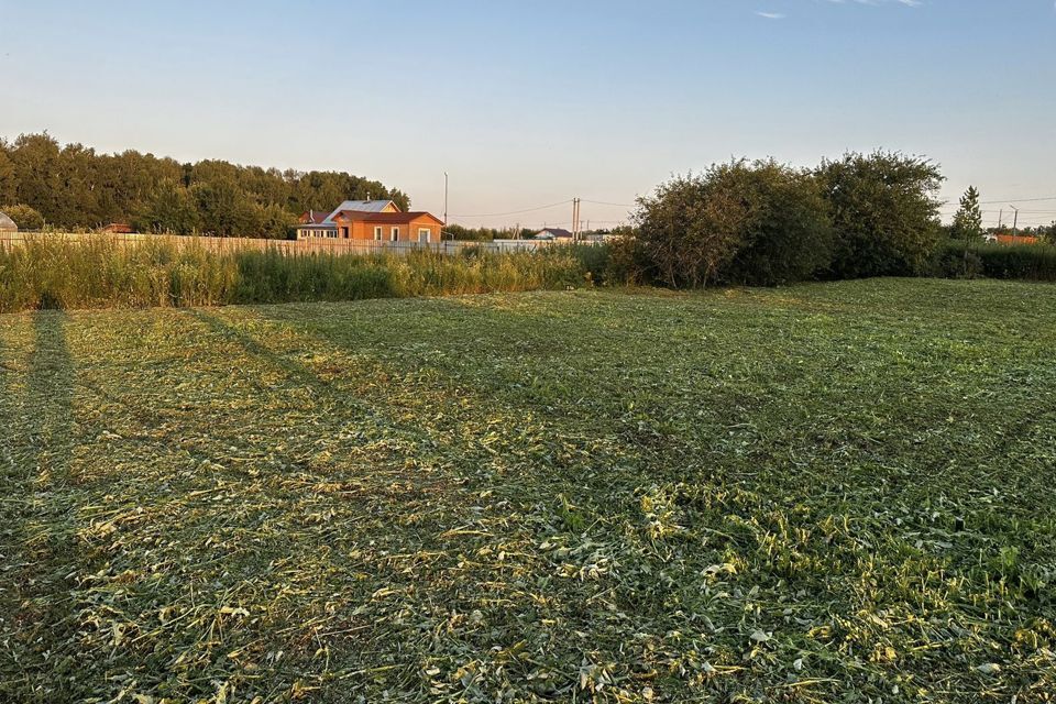 земля городской округ Кашира д Тарасково ул Дачная 77 фото 5