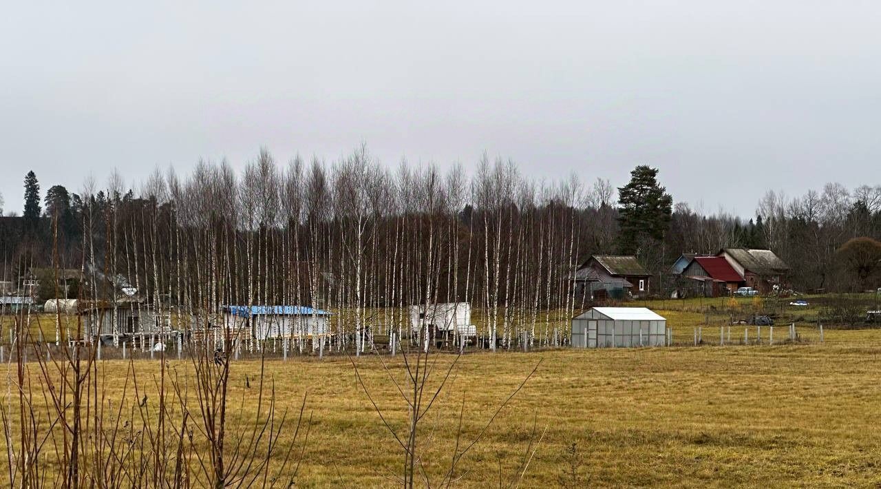 дом р-н Маловишерский д Лука Веребьинское с/пос фото 7