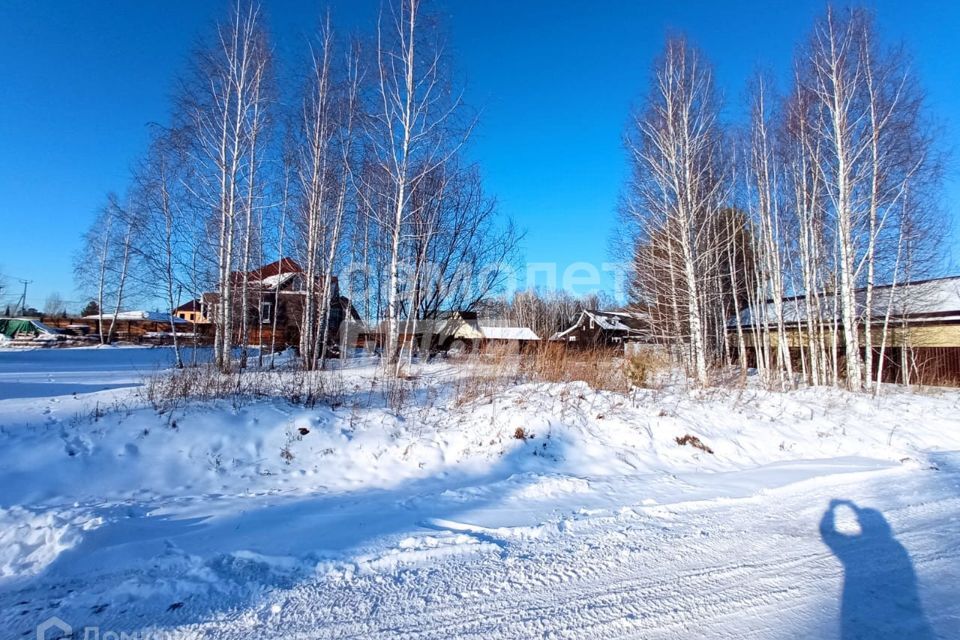 земля р-н Новосибирский Каинская Заимка фото 3