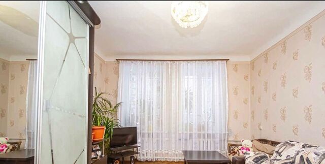 Берёзовая роща фото