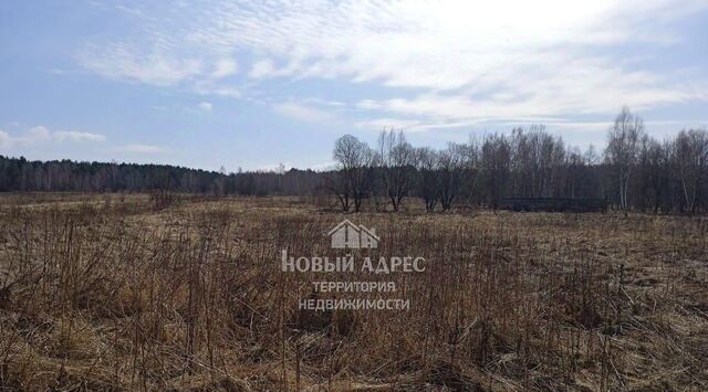 земля д Синьгово Нижнее с пос, 4, Тягаево фото