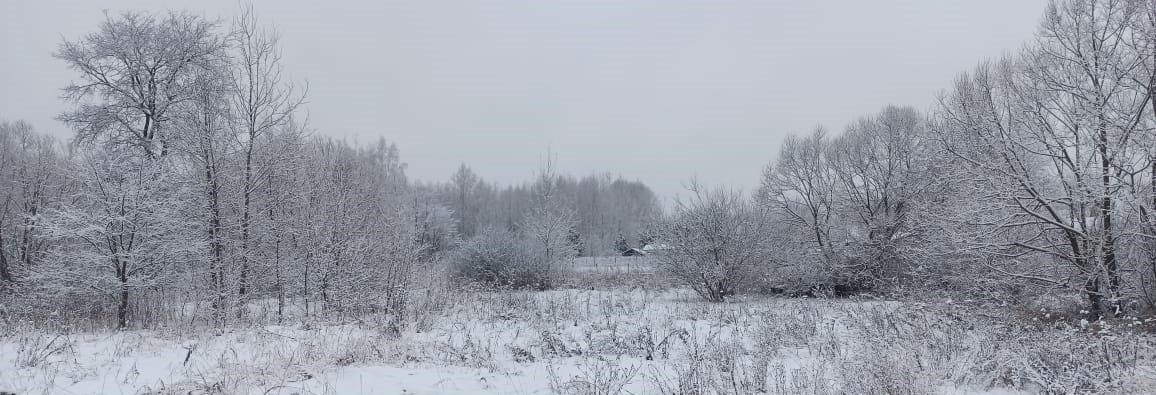 земля городской округ Шатура с Митинская фото 2