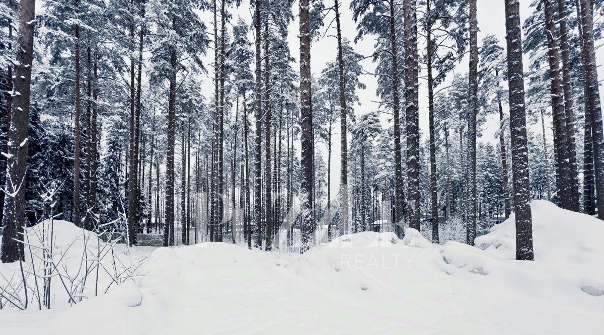 земля г Зеленогорск Курортный фото 2