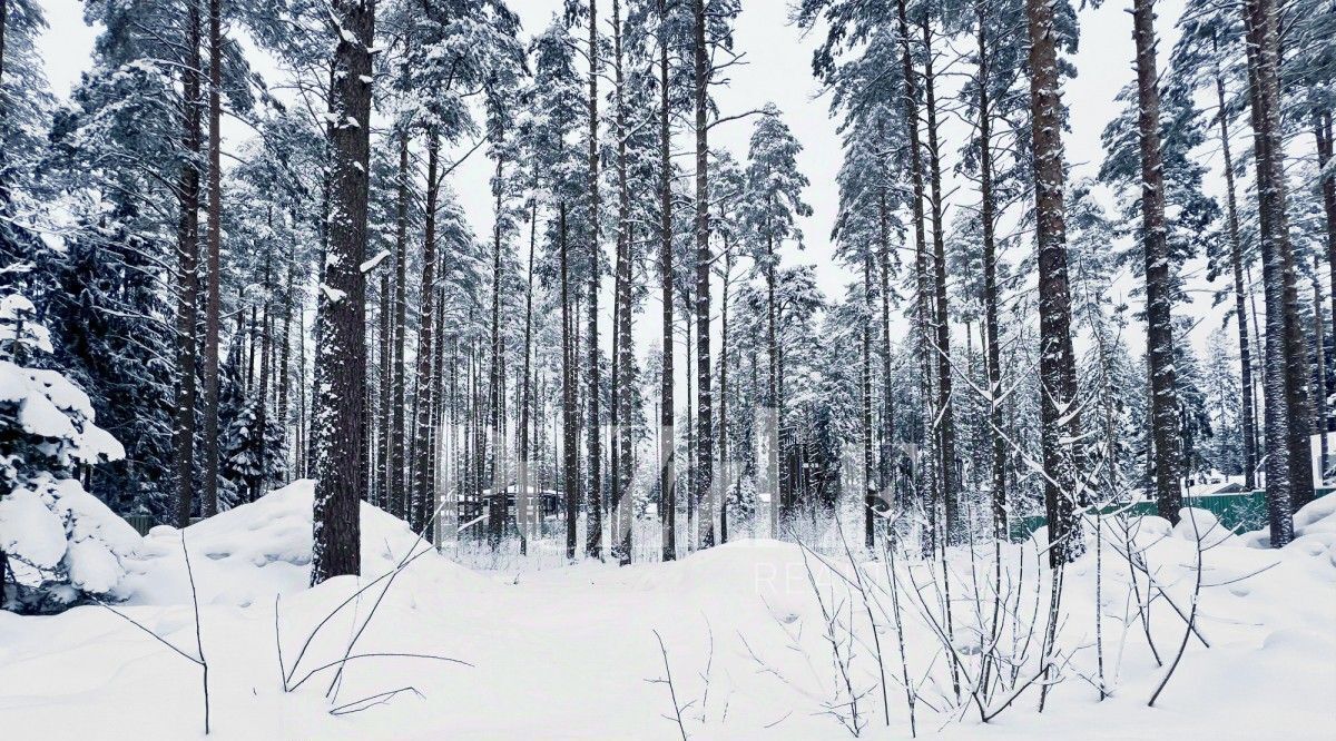 земля г Зеленогорск Курортный фото 4