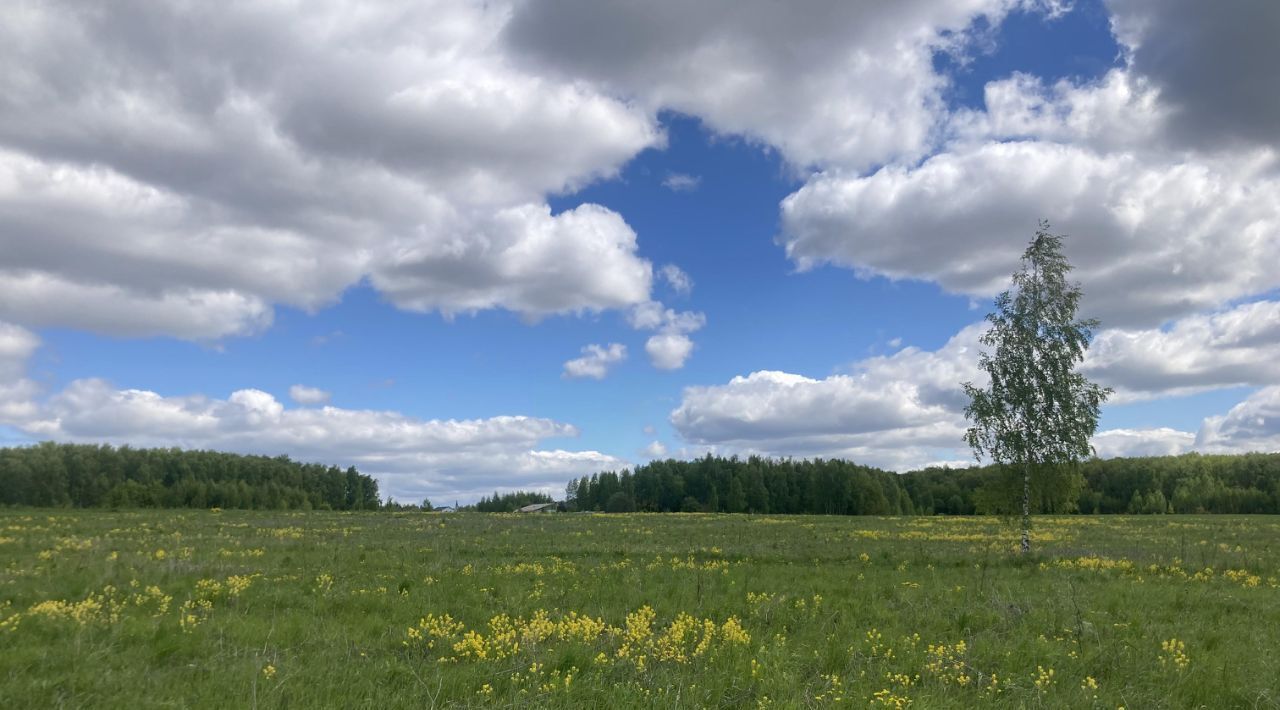 земля г Кашира д Вослинка фото 3