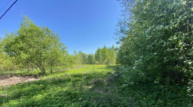 земля п Лебяжье пер Зелёный Рощинское городское поселение, Беговая фото