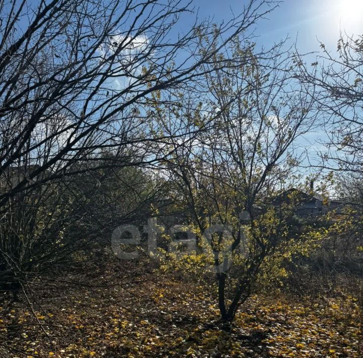земля г Новочеркасск дп Донские Зори фото 8