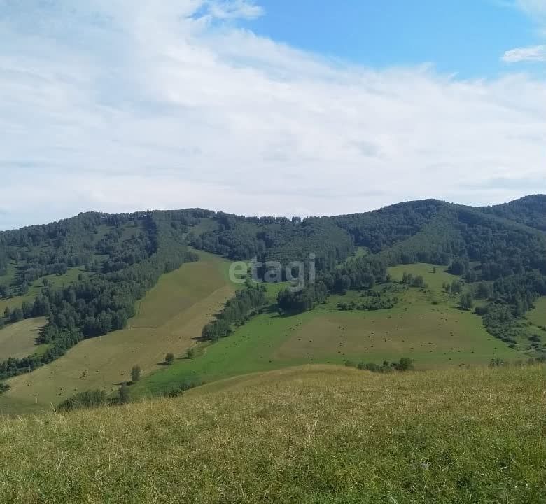 земля г Горно-Алтайск фото 3