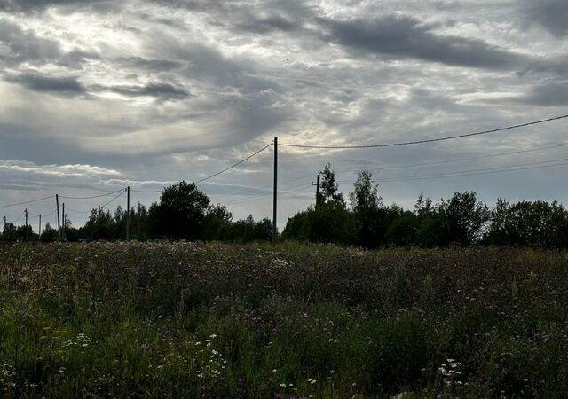 земля д Яльгелево Таллинское шоссе, 10 км, Ропшинское сельское поселение, Русско-Высоцкое фото