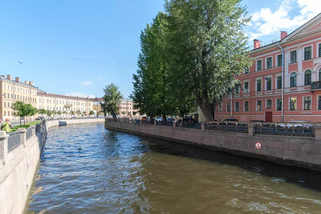 квартира г Санкт-Петербург метро Садовая ул Средняя Подьяческая 16 Ленинградская область фото 30