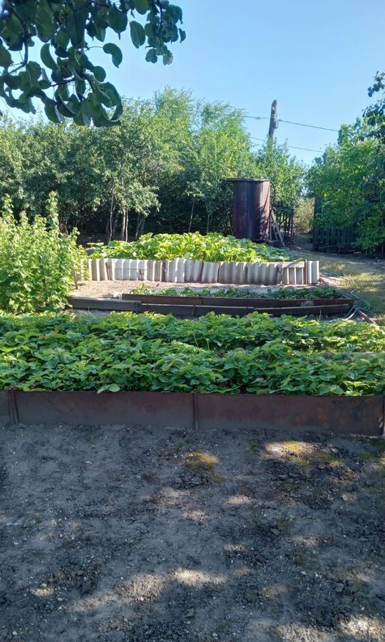 дом р-н Вольский с Александровка Центральная ул, Саратов, муниципальное образование фото 8