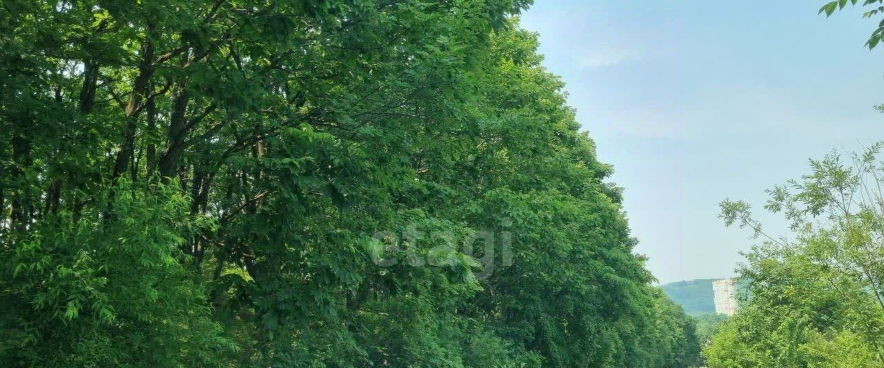 земля г Владивосток п Трудовое ул Грибоедова фото 10