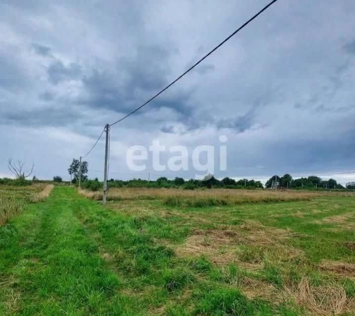 земля р-н Зеленоградский г Зеленоградск фото 3