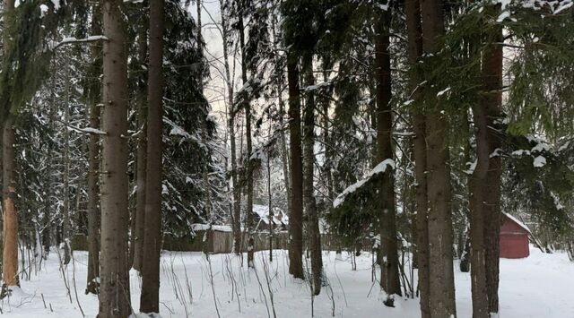 ул Рабочая 10 Зеленоград — Крюково фото