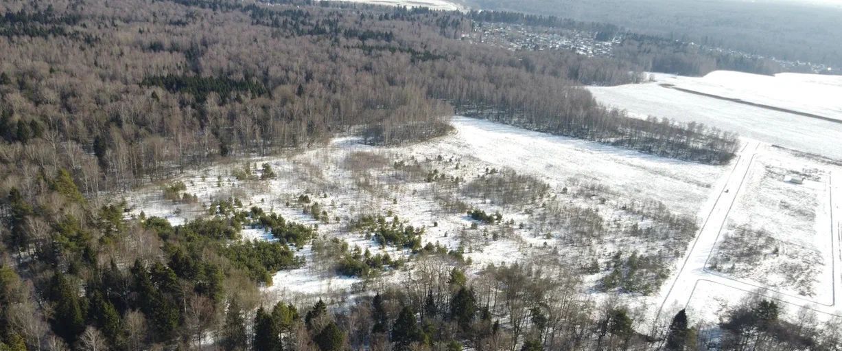 земля р-н Боровский д Фатеево Совхоз Боровский с пос, д. Подсобное Хозяйство фото 7