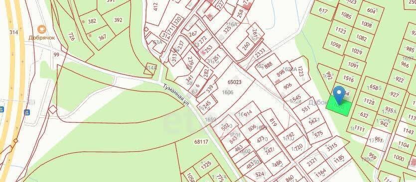 земля г Владивосток п Трудовое снт Дубок Синяя сопка массив фото 2