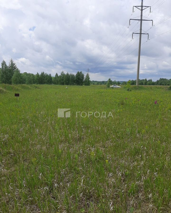 земля р-н Новосибирский с Ленинское тер Поселок Новониколаевский ДНТ Морской сельсовет, Школьный квартал, Верх-Тула фото 4