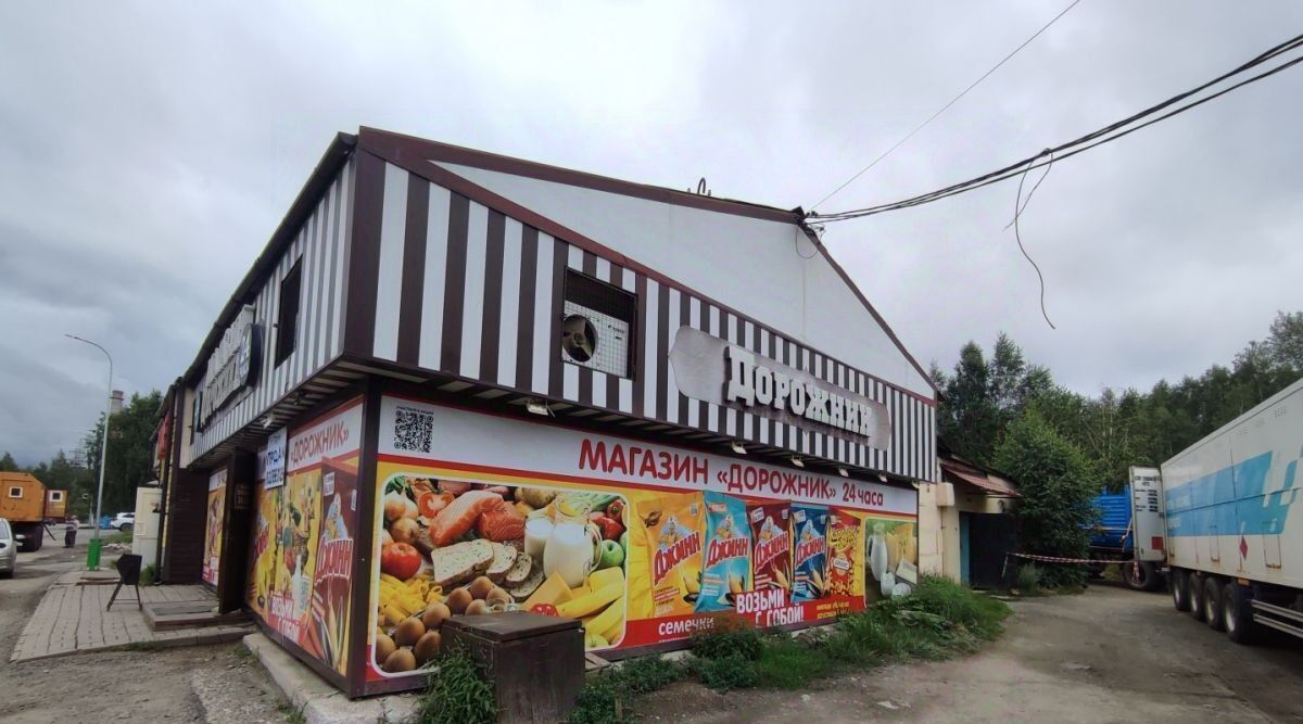 торговое помещение г Карабаш ул Пархоменко 13 фото 3